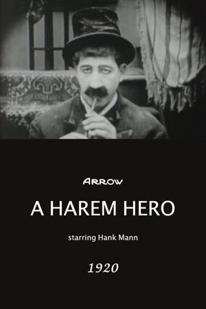 A Harem Hero's poster