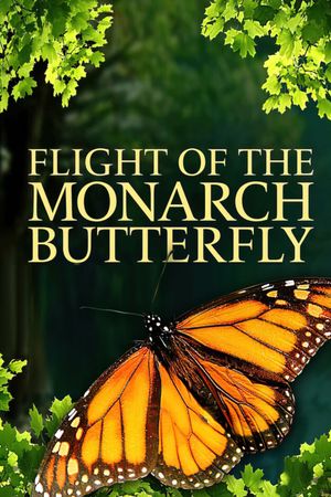 Flight of the Monarch Butterfly's poster