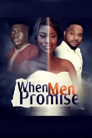 When Men Promise's poster image