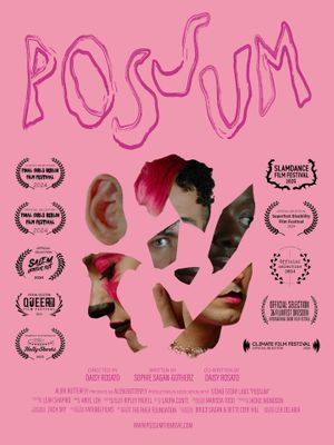 POSSUM's poster