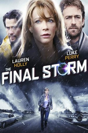 The Final Storm's poster