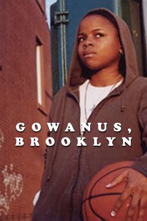 Gowanus, Brooklyn's poster image