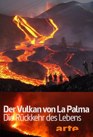 Der Vulkan von La Palma - Die Rückkehr des Lebens's poster