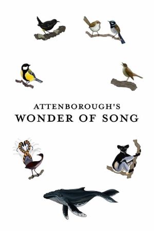 Attenborough's Wonder of Song's poster