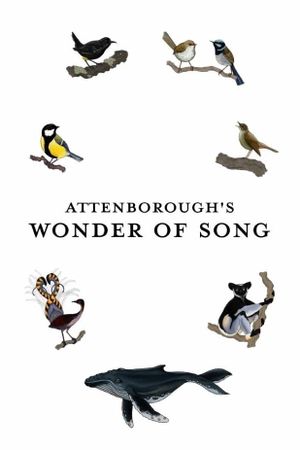 Attenborough's Wonder of Song's poster