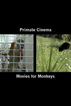 Primate Cinema: Movies for Monkeys's poster