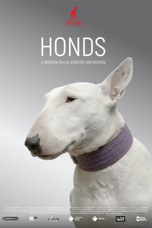 Honds's poster