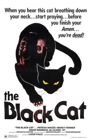 The Black Cat's poster