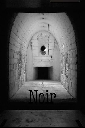 Noir's poster