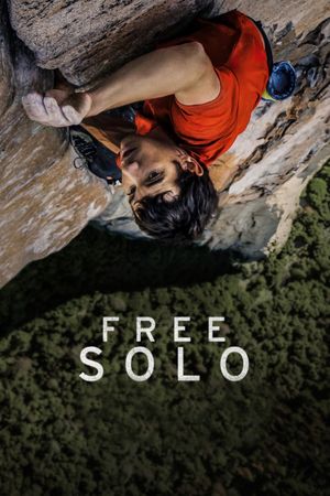 Free Solo's poster