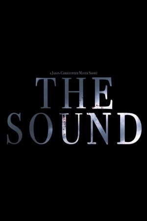 The Sound's poster