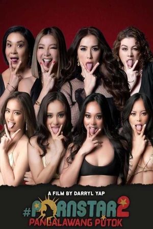 Pornstar 2's poster