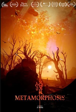 Metamorphosis's poster