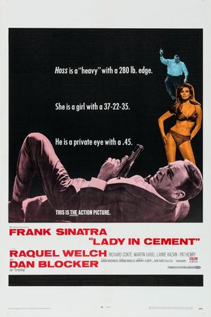 Lady in Cement's poster