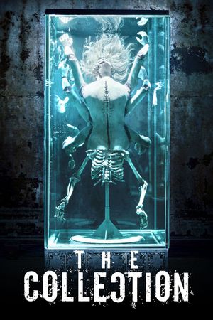 The Collection's poster