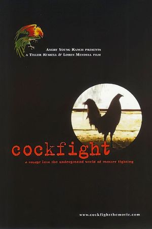 Cockfight's poster
