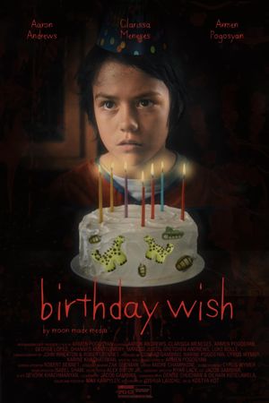 Birthday Wish's poster