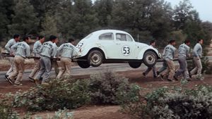The Love Bug's poster