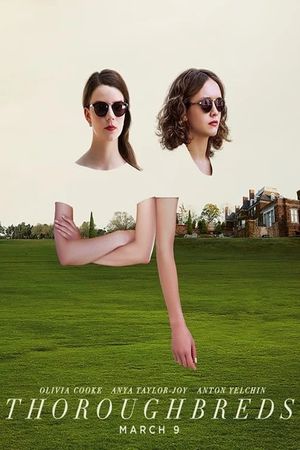 Thoroughbreds's poster
