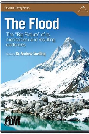 The Flood: The Big Picture of Its Mechanism and Resulting Evidences's poster