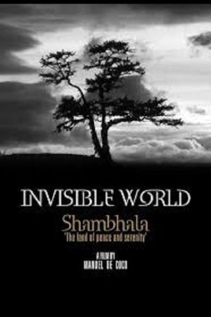 Invisible World's poster