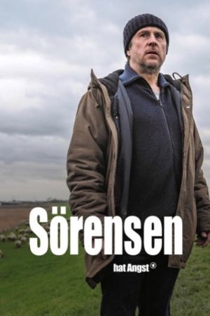 Sörensen's Fear's poster