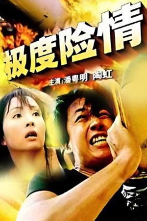 极度险情's poster image