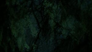Sleep Has Her House's poster