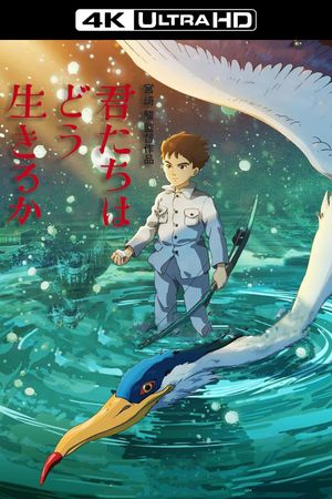 The Boy and the Heron's poster