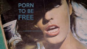 Porn to Be Free's poster