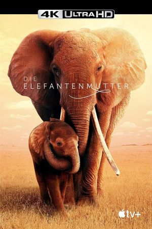 The Elephant Queen's poster
