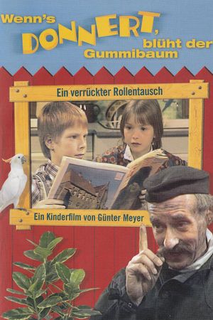 Wenn's donnert, blüht der Gummibaum's poster