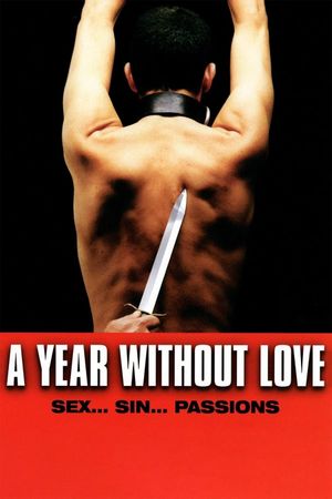 A Year Without Love's poster