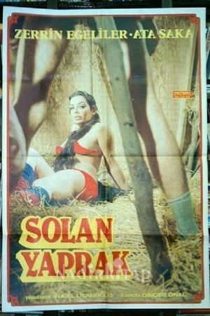 Solan Yaprak / Aga Düsen Kadin's poster