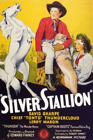 Silver Stallion's poster