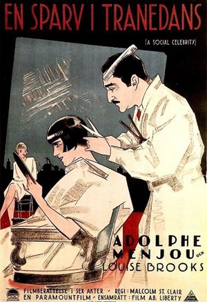 A Social Celebrity's poster