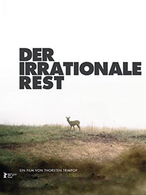 Der irrationale Rest's poster