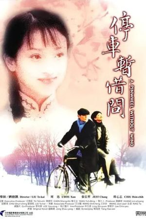 A Pinwheel Without Wind's poster