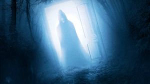 Door in the Woods's poster