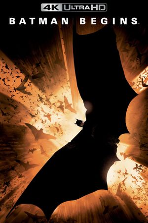Batman Begins's poster