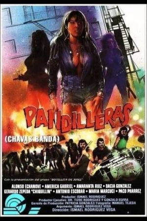 Pandilleras's poster