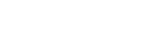 Sällskapsresan's poster