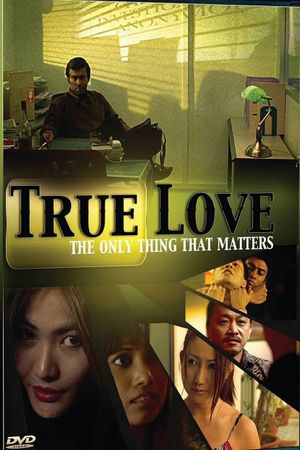 True Love's poster