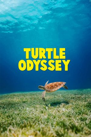 Turtle Odyssey's poster