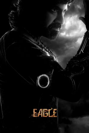 Eagle's poster