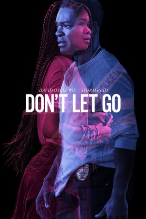 Don't Let Go's poster