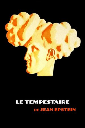 The Storm-Tamer's poster