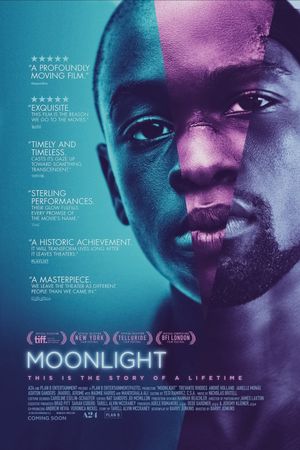 Moonlight's poster