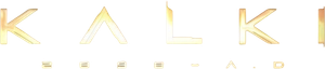 Kalki 2898 AD's poster