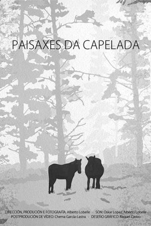 Landscapes of a Capelada's poster